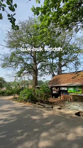 Wkwk kitu pan