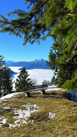 📍 Rigi, Switzerland 🇨🇭 When the mountains are snow-covered in winter, you often see the sea of fog in the valley. Follow for daily Swiss Content 🇨🇭 📌 Save this for your (next) trip to Switzerland 🇨🇭  🎥 by: @swisswoow  #switzerland #mountains #schweiz #swissalps #myswitzerland #nature #inlovewithswitzerland #Hiking #swiss #alps #wanderlust #visitswitzerland #travel #jungfrauregion #suisse #landscape #thunersee #naturephotography #grindelwald #lauterbrunnen #interlaken #lake #switzerlandpictures #swissmountains #switzerlandwonderland #photography #rigi #mountrigi #rigikulm #pilatus 