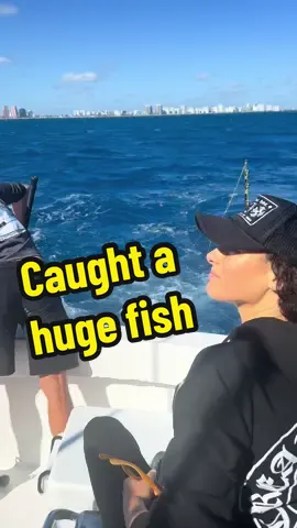 That was HUGE #deepseafishing #fishing #miami 