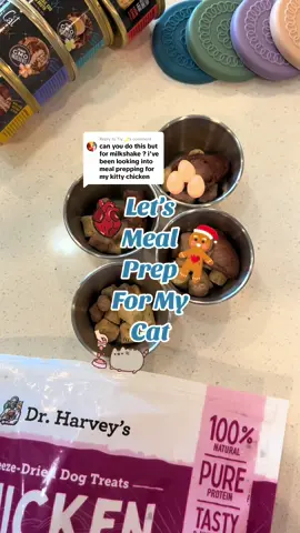 Replying to @Tiy🌙 Here’s how we meal prep for Milkshake! Typically, her automatic feeder drops in the morning and she gets 1/2 a can a couple hours later and for dinner she gets the other 1/2 of the can with the toppers and the last serving of air dried raw drops before bed 😋 #catfood #catfoodprep #catmealprep #catfoodtips #catfoodtoppers #catfoodreview #catmom 