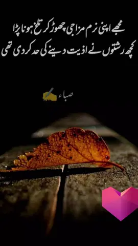 #TikTokPromote #fypシ゚viral #followaccount❤ 