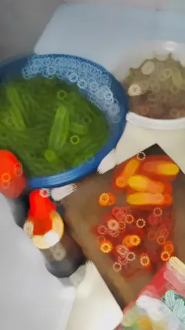 masak lagi #vidioviral #vidio #statusvideo #fypシ #fypシ゚viral #lfl #ponorogo24jam #masak #masakdirumah #masakansimple #masakanrumahan #osengkacangpanjang #CapCut 