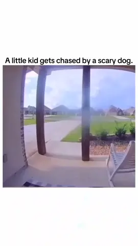 A little kid gets chased by a scary dog😭. ctto. #foryou #follow #fypシ #fyp #viral #viralreels #reels #reelsfypシ #funnyvideos #dog #doglover #petlover #justforfun #justforlaugh 