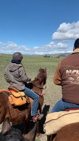 working on a ranch in wyoming literally is a movie🤩 #wyoming #duderanch #ranchlife #rodeo #wrangler #jacksonhole #guestranch #cowboy #yellowstone 