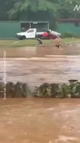 Is this the most Aussie rescue ever?! A laid-back larrikin leaning on a gate in rushing floodwaters and a mystery man named “Magoo” have warmed Far North Queenslanders’ hearts with their stoic efforts in the face of adversity. #cyclonejasper #northernqueensland #farnorthqueensland #queensland #flooding #aussiethings #aussietok