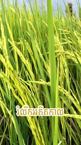 រំលឹកអតីតកាល ពី២០ឆ្នាំមុន