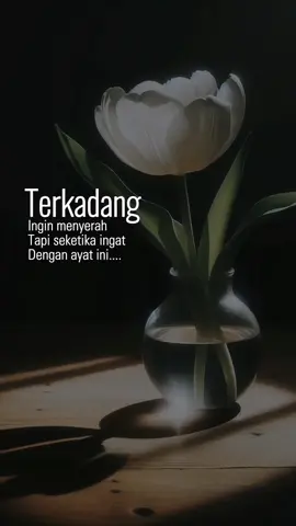 Tingginya nilai syurga #sabar #redha #muhasabahdiri #yakindenganallah #janjiallahitupasti  firman Allah SWT dalam Surah Al Baqarah, ayat 286 yang maksudnya: “Allah tidak membebani seseorang melainkan sesuai dengan kemampuannya. Dia mendapat (pahala) daripada (kebaikan) yang dilakukannya dan dia mendapat (seksaan) daripada (kejahatan) yang dilakukannya.”