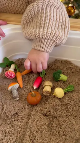 #sensory #sensorytable #sensoryplayforkids #sensoryplaytoddler #sendorytoys #sensoryplayideas #sensoryplaytime #sensoryplayidea #sensoryplaytolearn #sensoryplayforbabies 