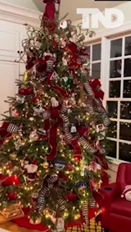 Guess HOO this  family found on their Christmas tree? The cutest baby owl! 🦉🎄 🎥: madelinewhite5/Magic Carpet Cleaning/TMX #owl #christmastree #christmas