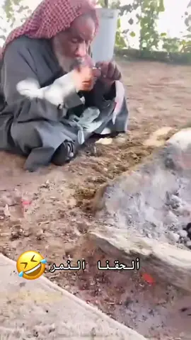 #تبوك_الورد #السعودية🇸🇦 #حقل_علقان_تبوك_نيوم_الشمال 