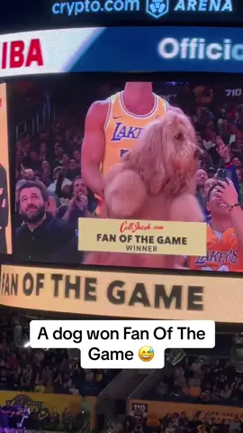 A dog won Fan of the Game last night in LA 😂🐶 [via @Ben Schwartz] 