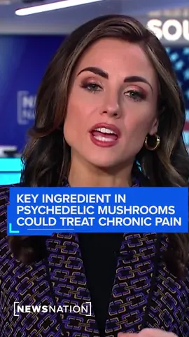 A key ingredient in psychedelic #mushrooms could treat the cause of #chronicpain  , a new study reveals.