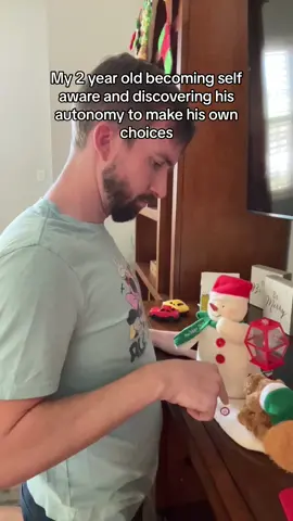 Too long didn’t watch: My 2 year old learning to wield his new favorite word, “NO!” This one really got away from me.  #dadsoftiktok #parentinghumor #toddlersoftiktok 