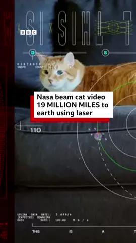 Where does my cat audition for the sequel? #nasa #space #DeepSpace #Cats #Laser #catvideo #BBCNews  