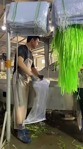 How many did he fit in the bag?