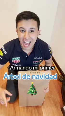 Armando mi primer árbol de navidad 🎄 #diaenmivida #Vlog #arboldenavidad #arbolnavideño #navidad #armar #DIY #diciembre #arbolitodenavidad🌲 #colombia #parati 