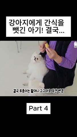 강아지에게 간식을  뺏긴 아기! 결국... #thesoyruponghouse #pet #dogs #fyp #trend #top 