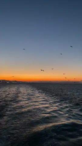 We always get the great views on ship ⚓️🩵🌊 . . #anchor #Home #couplegoals #captain #lifeatsea #shiplife #sailor #marine #viral #ship #denizcieşi #denizci #kaptan #kamara #merchantmarine 