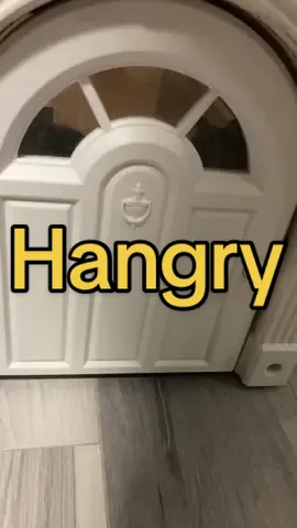 Hangry bunch! #drama #cranky #hungry #catsoftiktok 
