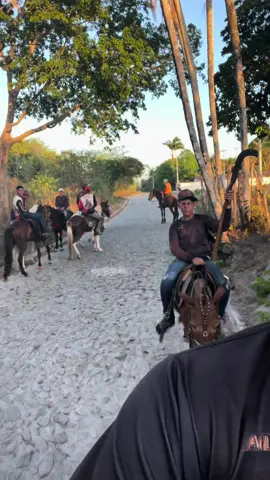 Cavalo rabicó e bom de garupa #kwai