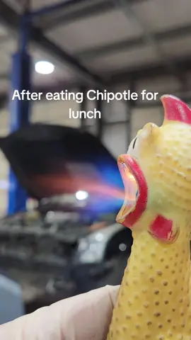 Something about Chipotle never quite sits right. #mechanic #rubberchicken #Chipotle 