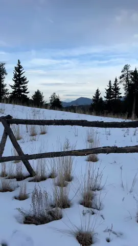 Took a pre-Solstice hike this evening. I am so in love with this time of year in Colorado. #denver #colorado #winter #wintersolstice #yule #rockymountains #hiketok #snow 