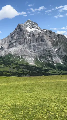 Switzerland 🥀🩷 #switzerland #switzerland🇨🇭 #foryou #fyp 