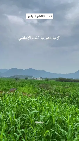 #الشاعر_حسين_جبران_كريري#قصيدة_الطير_المهاجر #وادي_خلب_جازان #جواهر_الادب   من روائع  ابن جازان وصاحب #قصيدة_توأم_الجود  و#مسلسل_السراج  الراحل الشاعر حسين جبران كريري رحمه الله  