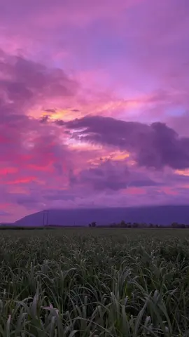 Dangerously yours 🧞 #nature#beautiful#view#aesthetic#australia#beautifulnature#fyp#foryou#pretty#photography#sunset#purple#purplesunset 