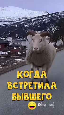 #юмор #цитаты #бывший 