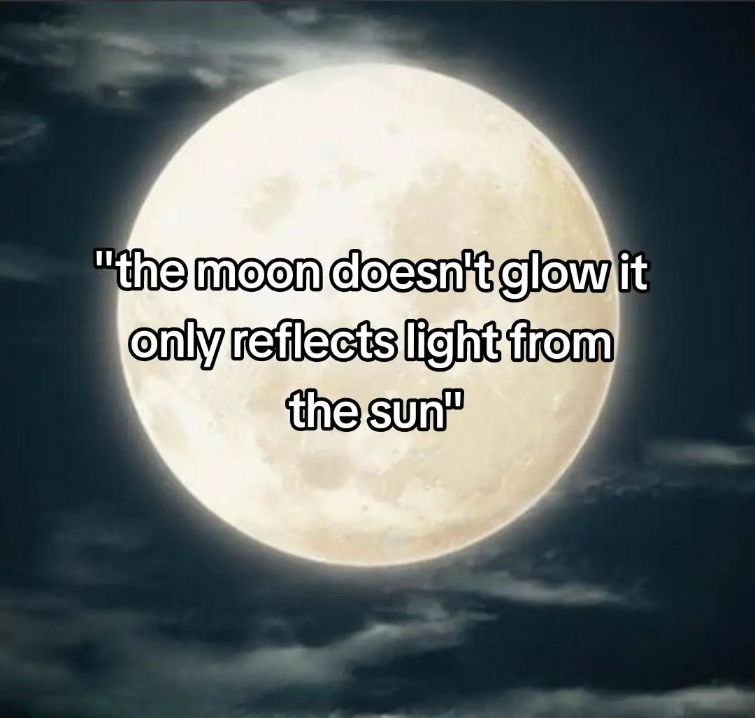 Moon❤️ #kokushibo #michikatsutsugikuni #michikatsu #tsugikuni #kny #kimetsunoyaiba #demonslayer #anime #moon #sun #relfection #fyp #slideshow 