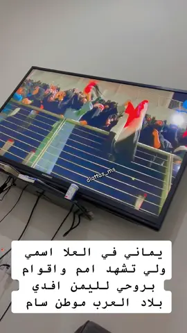 يماني في العلا اسمي #المنتخب_اليمني #كأس_غرب_اسيا #منتخب_اليمن_للناشئين #منتخبنا_اليمني #منتخب_اليمن #alattas_ms #فرحة_وطن 