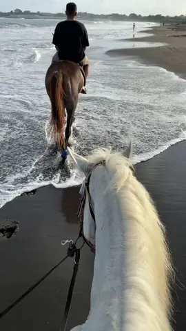 من اجمل اللحظات اللي عشته خيل وبحر ♥️ #explore #اكسبلور #الهشتاقات_للشيوخ #fyp #foryou #capcut #بحر #خيل  #بالي_اندونيسيا 