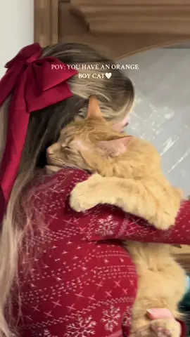 he is my BABY🥹🤍 #fyp #orangecat #boycat 