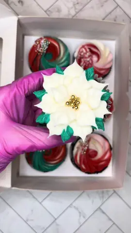 How do we feel about the white poinsettias? While I don’t think there will ever be anything that compares to the traditional red Christmas flower, these are still so charming in their own way especially against the dark chocolate cupcake 🥰 happy Christmas week everyone!  . Piping tips: Wilton 366 & 352 Food color brands: chef master  . . #christmas2023 #cake #cupcakes #cakereel #cakereels #food #Foodie #viral #cakemaking #cupcakedecorating #cupcaketiktok #baketok #caketok #cakemaker #homemade #reelsviral #satisfying #satisfyingvideo #pipingvideo #foodoftheday #fyp #cakelover #howto #tutorial #LearnOnTikTok  . Cake decorating | cupcake | chocolate cake | 2023 | American buttercream | small business | bakery | dessert | festive | holiday | Christmas