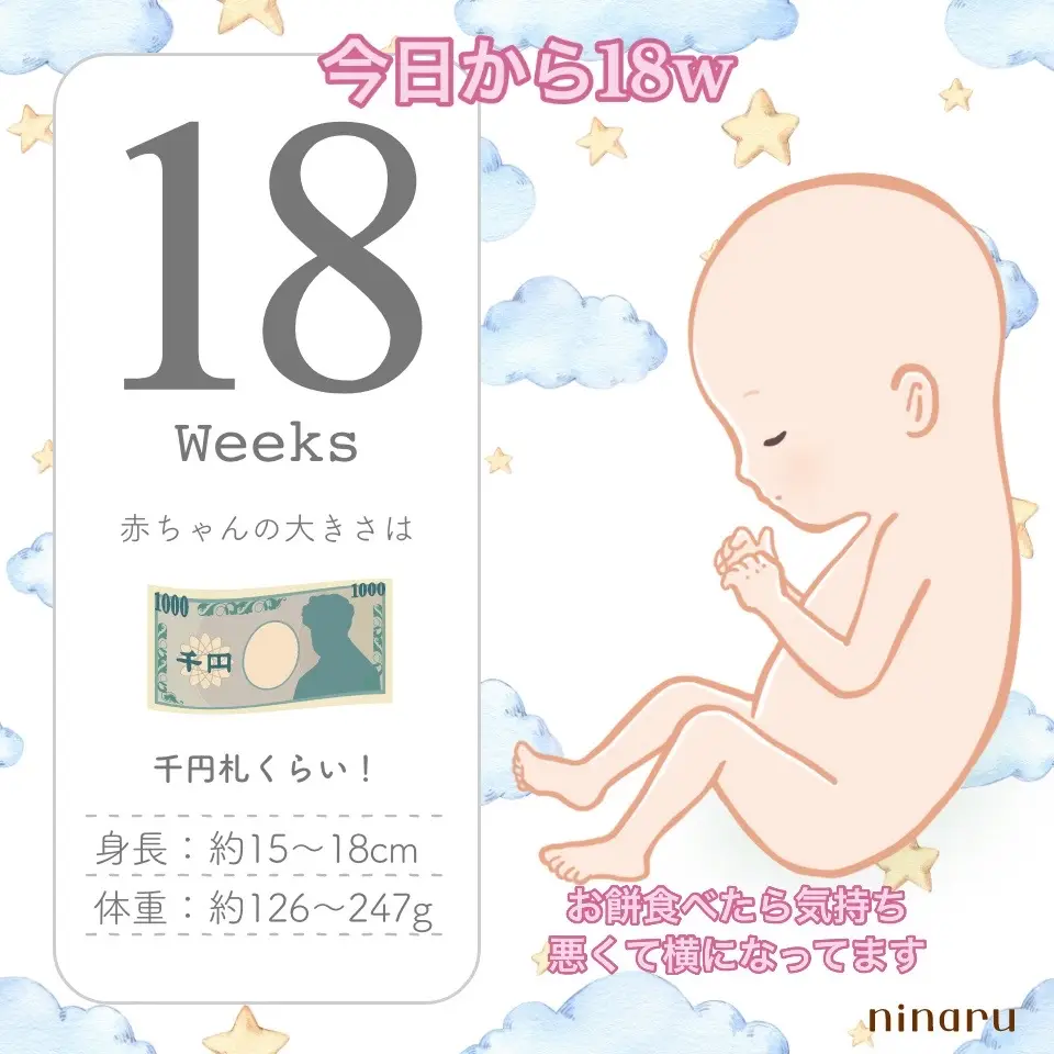 今日から18w🍼 だいぶお腹出てきた！ 靴下履くのが少し難しいと感じるようになりました🧦 無理せず ちびのすけのために♡ #18w #妊娠18週 #マタニティ #お餅 #初マタ 