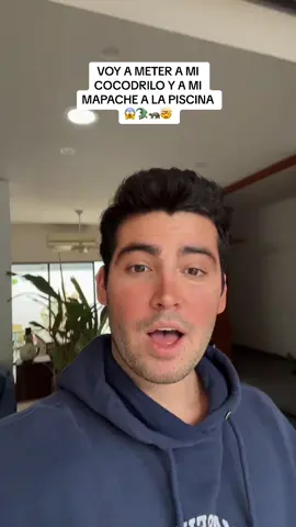 lupe extraña a su amigo el coco 🥹🦝🐊❤️