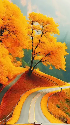 Scenery#scenery #beautifull 