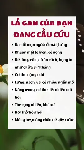 LÁ GAN CỦA BẠN … Đang cầu cứu. #thuocnamsuckhoe #suckhoe #xuhuong #meohay🇻🇳🇧🇷 #xuhuongtiktok2023 