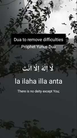 #foryoupage #islamprogram #islamic_video #dua #Powerful_Dua #duadhik #lailahailallahantasubhanakainni 