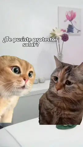 🌞 Protector solar SIEMPRE, chiquis 🌝 #esteticaintegral #meiliestetica #saludybelleza #skincare #tipsdeskincare #meme 
