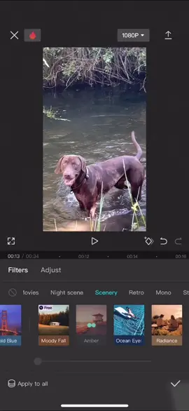 How to add a filter to entire video #capcutedit #howtocapcut #travelvids #capcut #capcuttutorials #capcutfilter #filtertutorial #howtofilter 