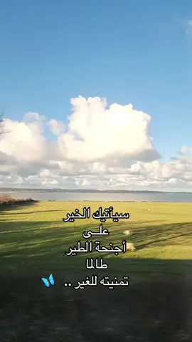 كان فرق كتير…🎈🤍🎈 #حسام_حبيب #فرق_كتير #موسيقى #hossamhabib  #explore #fyp #foryou  #music  #lovestory #lovemusic  #positvity 