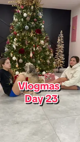 Vlogmas day 22 #Vlogmas #vlogmas2023 #openingpresents #foreverfamilyvlogs #sisterforevervlogs 