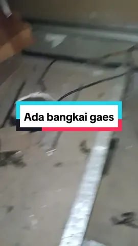 Instalasi hororr, ada bangkai di atas plafonnya. #instalasilistrik 