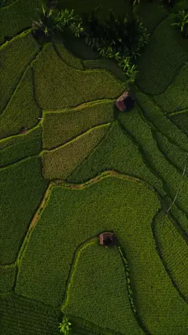 Kampung yang tidak ada kuburan sama sekali. 📍 Kampung Kuta, Ciamis. . #aerial #dronevideo #explorejabar #jasavideo 