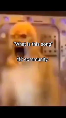 That song always remind me of these buff tf2 mercs😭#tf2 #meme #community #tf2ticktock #song #fyp #foryou 