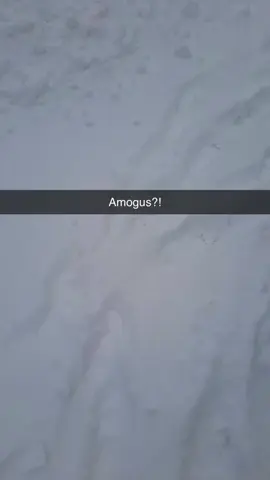 Am I the only one who saw it? #AmongUs #snow #meme 