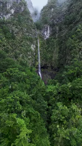 Into the wild of Boaventura - Madeira 🇵🇹 How high do you think this waterfall is? By the way, does anyone know its name?#waterfallphotography #waterfallHike #junglewaterfall #waterfalllovers #waterfallchasing #MadeiraLovers #Madeira #wildforest #jungles #waterfallHunting #waterfallsofinstagram 