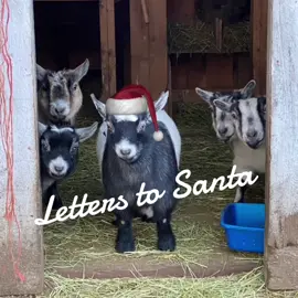 More letters to Santa…#talkinganimals #letterstosanta 